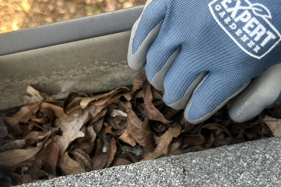 Gutter Cleaning Pinellas Park FL