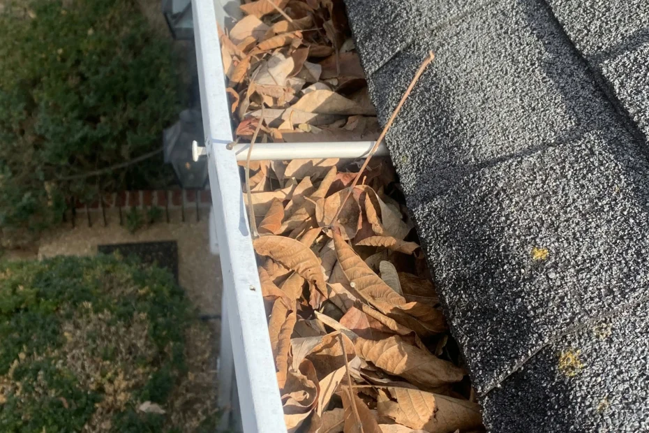 Gutter Cleaning Pinellas Park FL