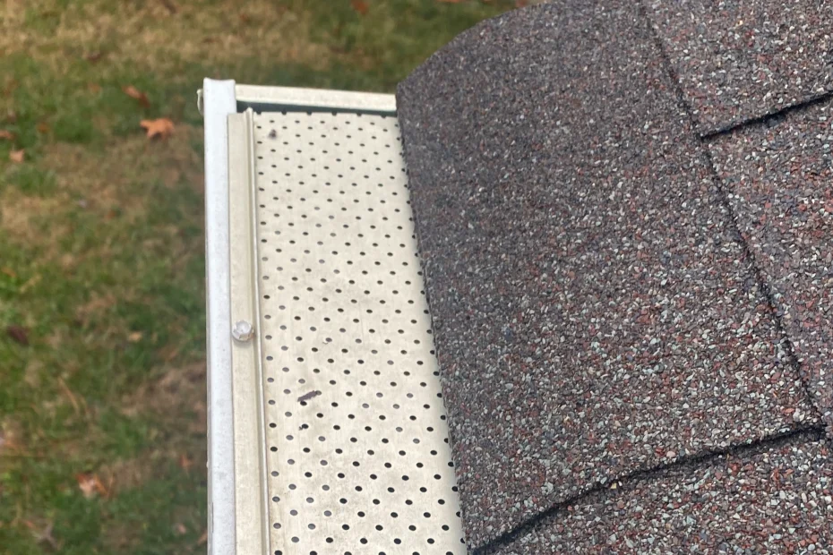 Gutter Cleaning Pinellas Park FL