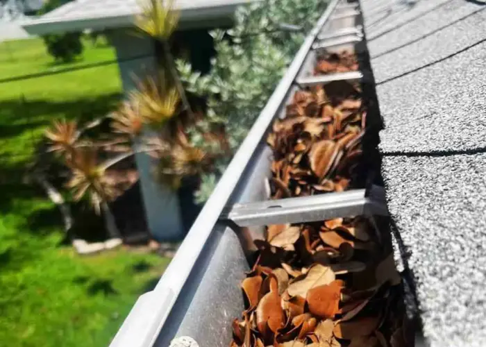 Gutter Cleaning Pinellas Park FL home page